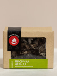 Лисичка черная